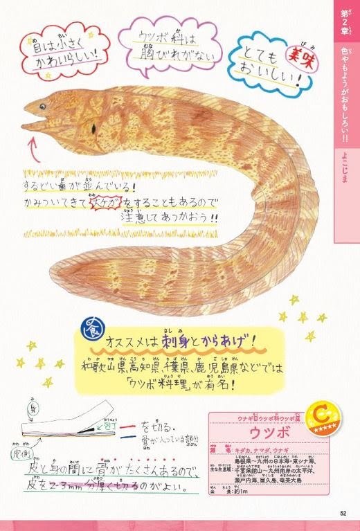 これはオススメ 魚図鑑 明石の釣り ブログ 明石の釣り ブログ これはオススメ 魚図鑑 明石の釣り ブログ 明石の釣り ブログ