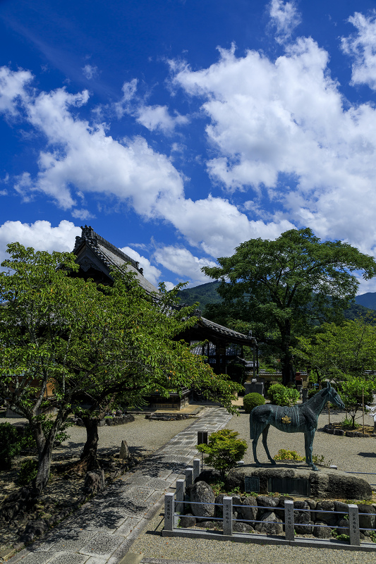 初秋の花咲く橘寺_f0155048_2351239.jpg