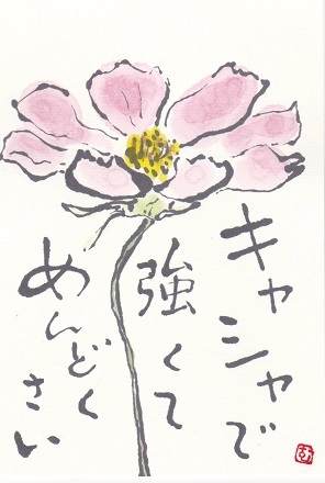 コスモス 最後まで美しく咲いていた 華奢で強くてメンドクサイ ムッチャンの絵手紙日記 コスモス 最後まで美しく咲いていた 華奢で強くてメンドクサイ ムッチャンの絵手紙日記