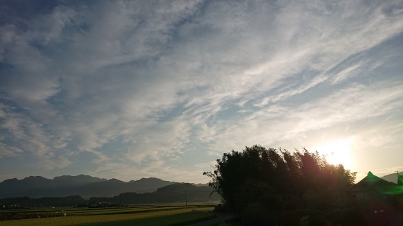 七夕の願いが叶った日***_e0290872_15540229.jpg