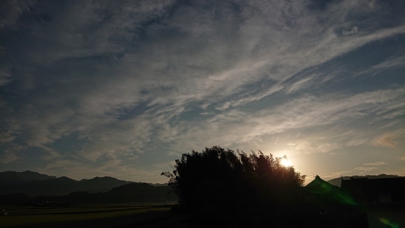 七夕の願いが叶った日***_e0290872_15541985.jpg