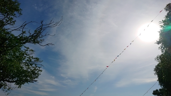 七夕の願いが叶った日***_e0290872_15561340.jpg