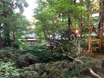2020.09.16「2日間、出張です」_c0197974_06014676.jpg