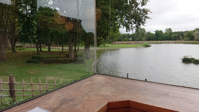 久し振りの洞峰公園 歌島昌由の近況