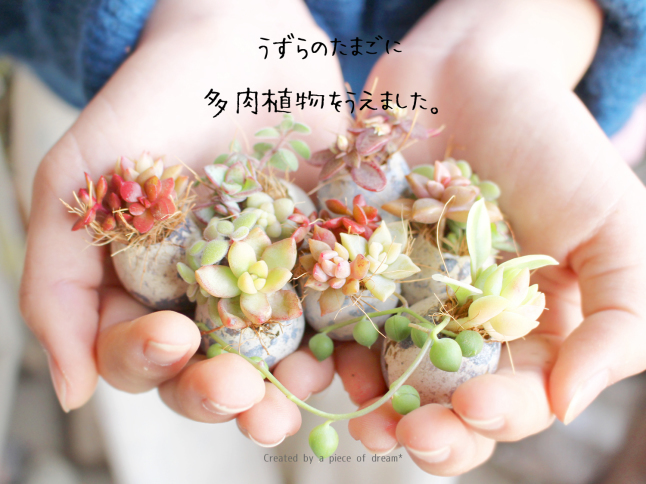 56選! HORTI記事をまとめてみました!_b0160880_01442294.jpg