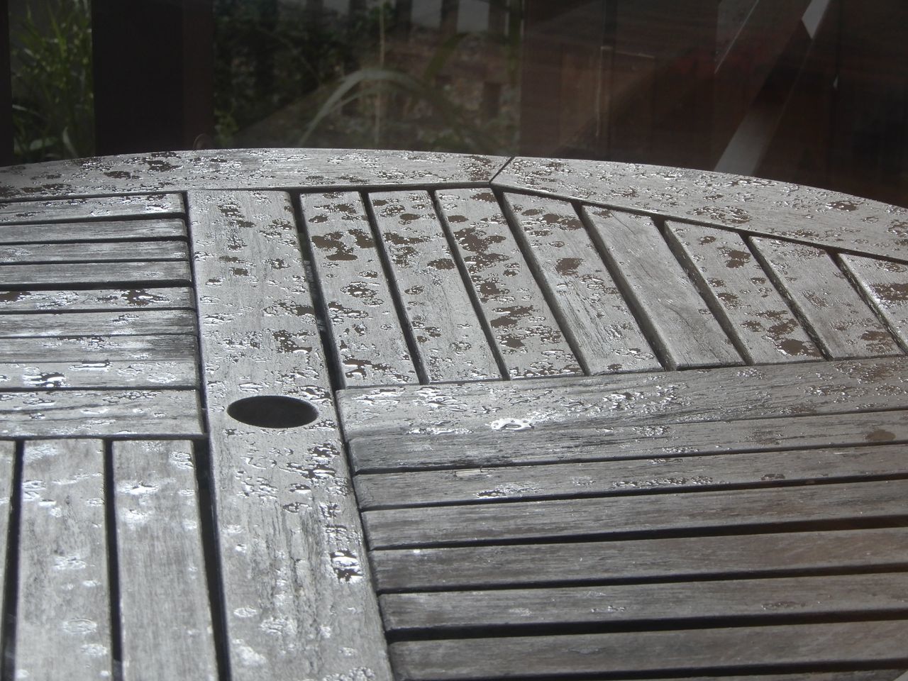 天気不安定な日曜日、午後はさとらんど_c0025115_22184348.jpg