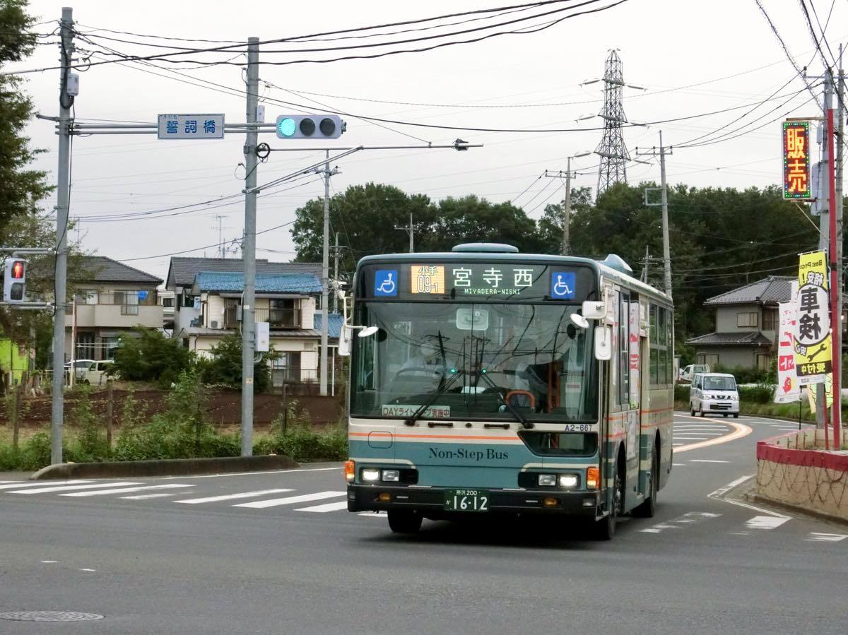 小手指 バス コレクション