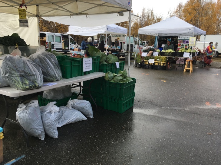 今年最後のファーマーズマーケット　Tanana Valley Farmers Market_b0135948_11081459.jpg