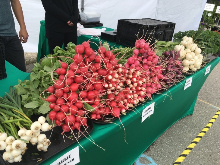 今年最後のファーマーズマーケット　Tanana Valley Farmers Market_b0135948_11375694.jpg