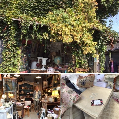 9月20日(日)_c0134071_11483308.jpeg