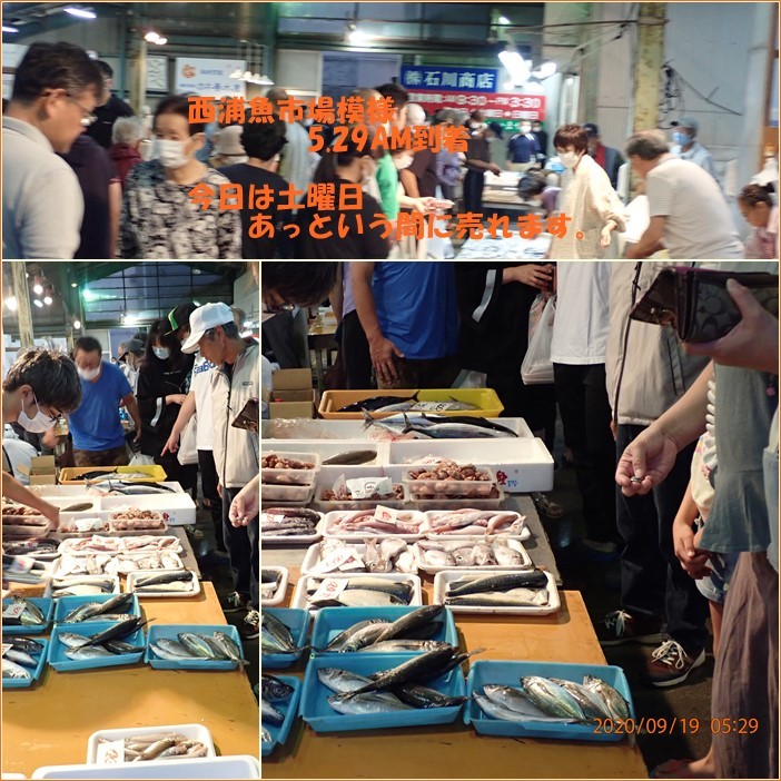 今日は魚屋さん 3年ぶりに西浦魚市場へ 小次郎じじ物語