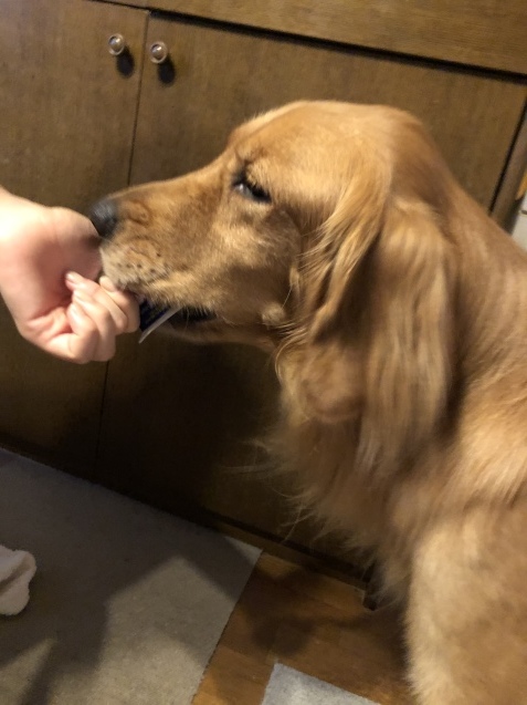 いつもの朝。_a0394574_07003710.jpeg