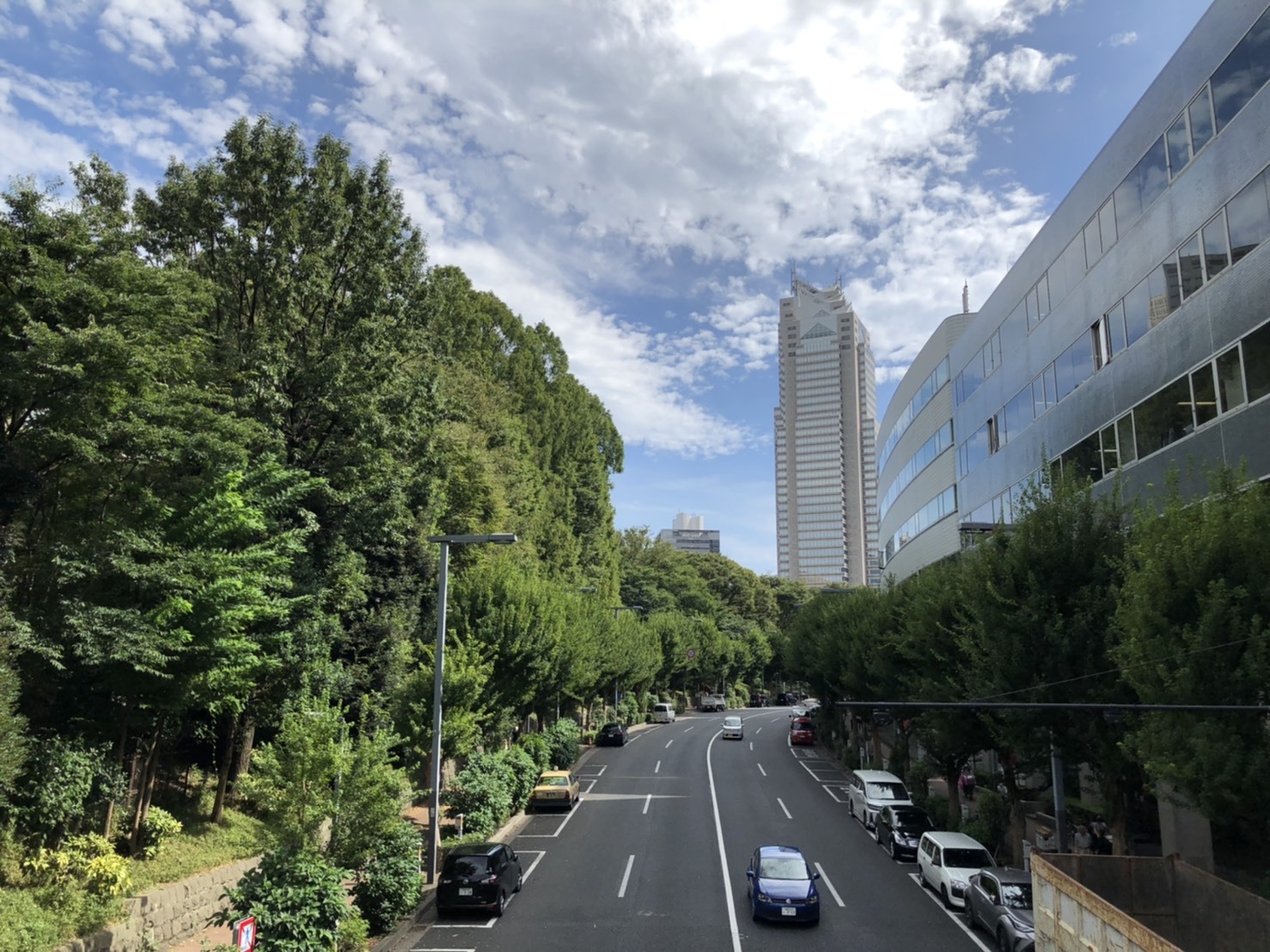 季節の感じる当社近辺景色(^^)/_e0254682_11174982.jpg