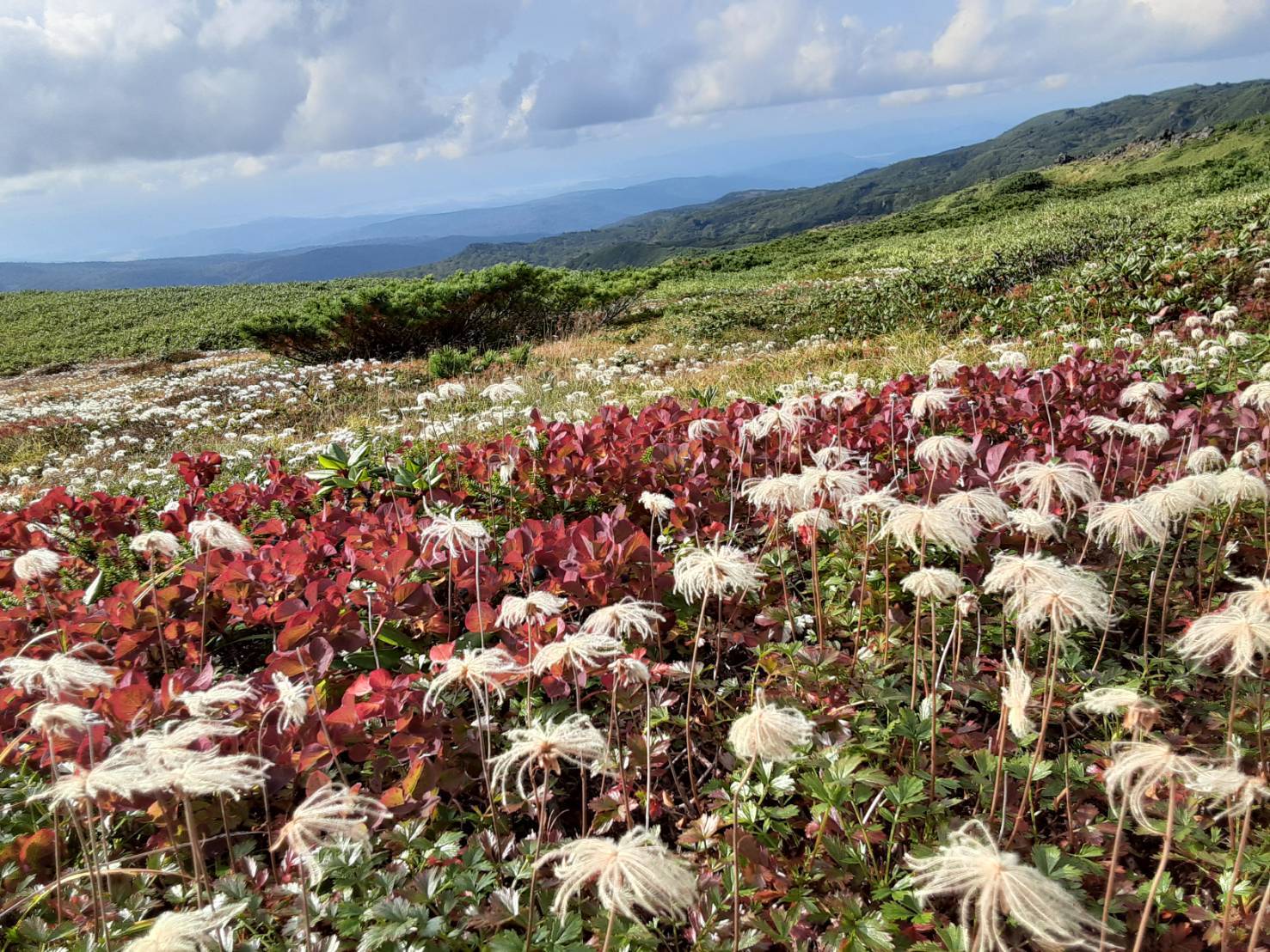 大雪山 旭岳へ紅葉ハイク!ちょっと手前_d0198793_01394690.jpg