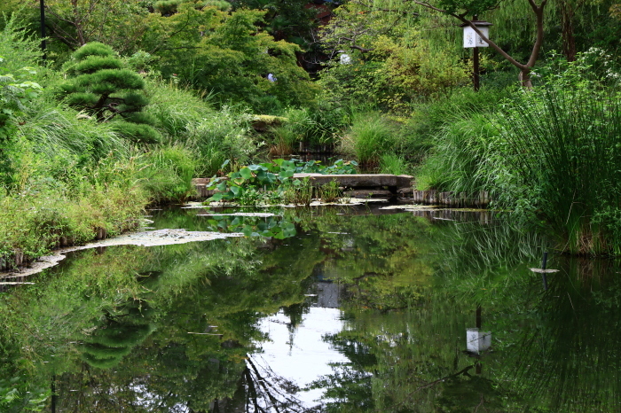 向島百花園_b0325217_08501528.jpg