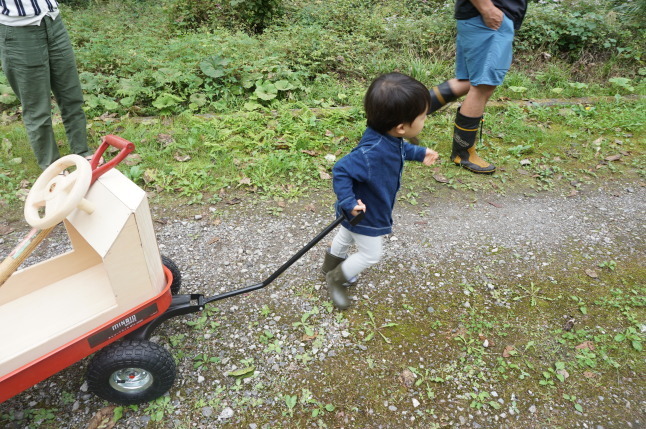 大石ころがしとガーデンキャリートラック_d0348118_15445168.jpeg