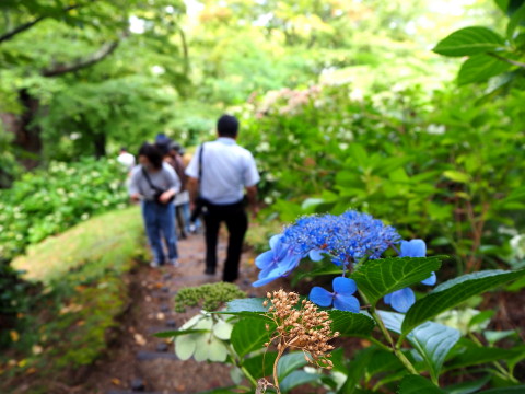 古津軽のスマホ旅*2020.09.05_b0147224_17223926.jpg