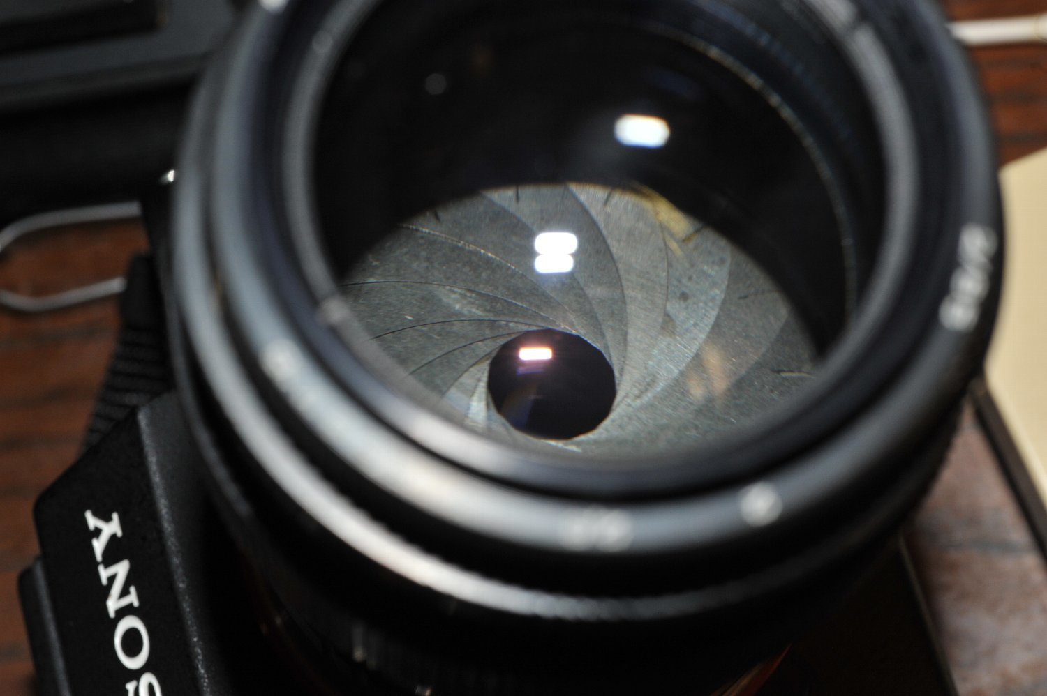 MC Jupiter-9 85mm F2 の 昔の写り_b0069128_09574794.jpg