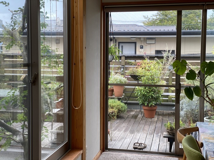 「室外の緑を楽しむ」☆_c0152341_09494826.jpg