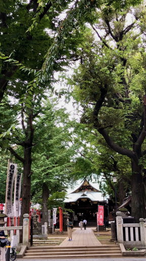 なんかいろいろ盛り沢山、いい日でした。たまにはそんな時いいでしょ？_d0057843_17353944.jpeg
