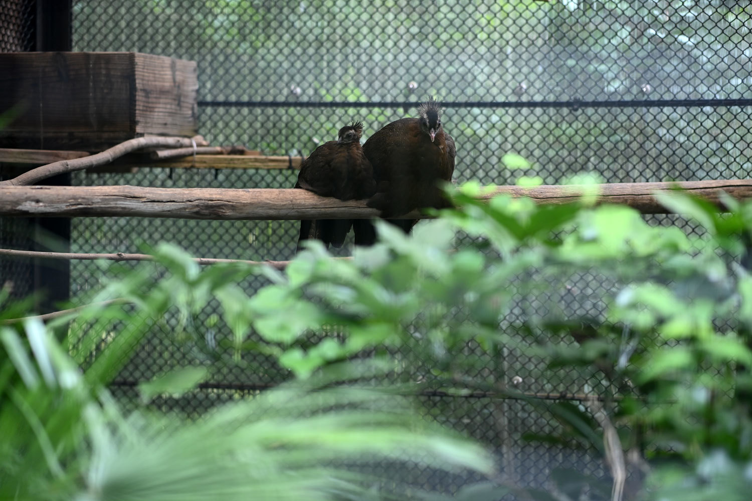 動物園へ行こう