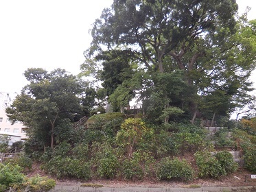 川越城_e0033570_13003925.jpg