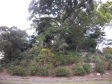 川越城_e0033570_13005889.jpg