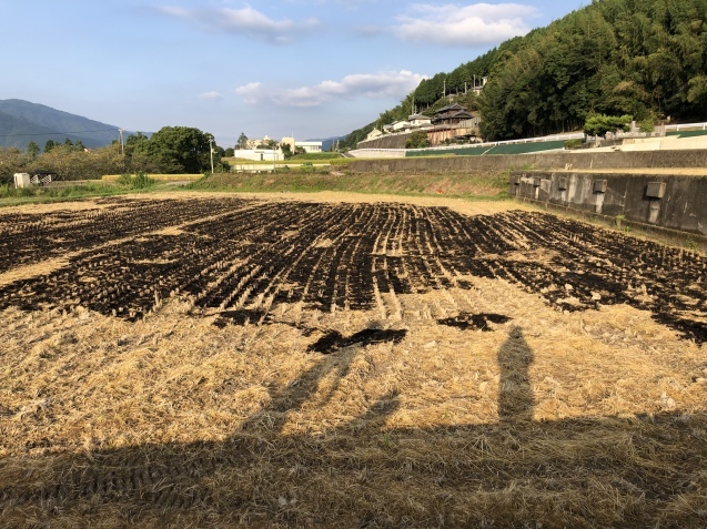 秋の朝。_a0394574_08564229.jpeg