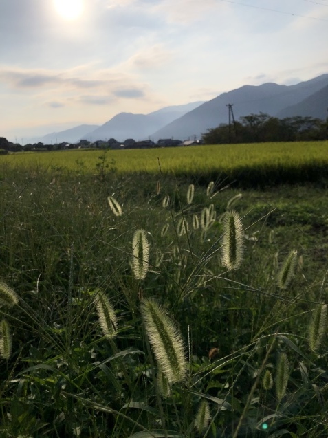 秋の朝。_a0394574_08580342.jpeg