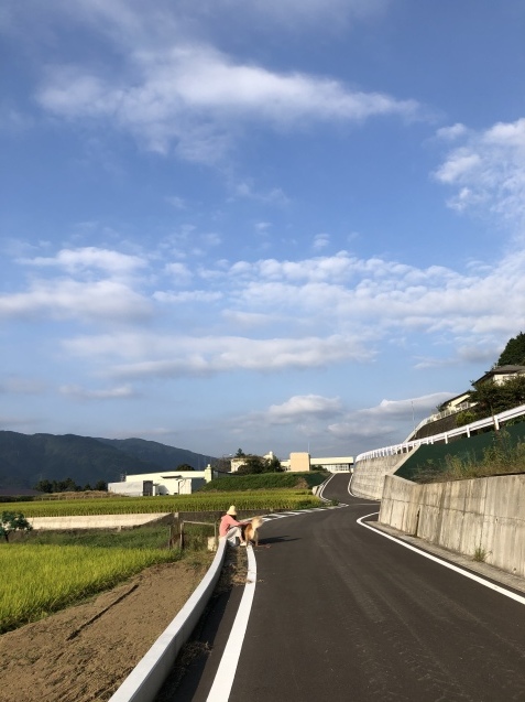 秋の朝。_a0394574_09002990.jpeg