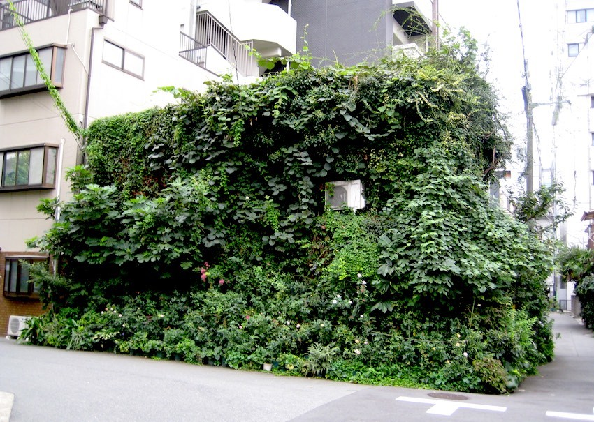 緑の館_b0057679_09411545.jpg