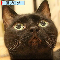 甲状腺機能亢進症だって_a0389088_03225281.jpg