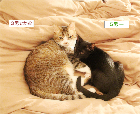 男の絆_a0389088_04072886.jpg
