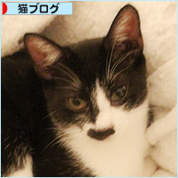男の絆_a0389088_04072937.jpg