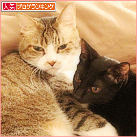 男の絆_a0389088_04072962.jpg