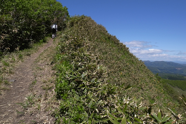 写万部山　（共立コース） _a0270291_20135724.jpg