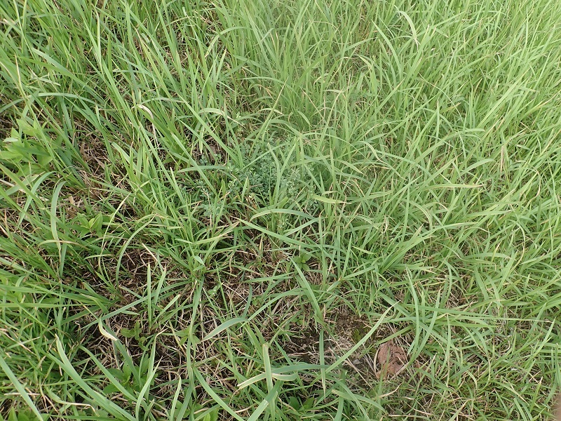 お出掛けしてきました。_b0093800_17311137.jpg