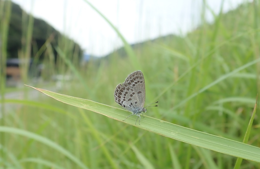 お出掛けしてきました。_b0093800_21463955.jpg