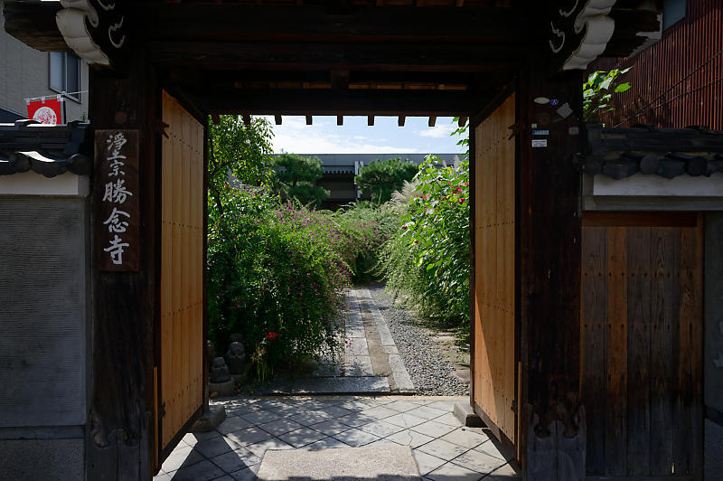 萩 かましきさん 勝念寺 デジタルな鍛冶屋の写真歩記