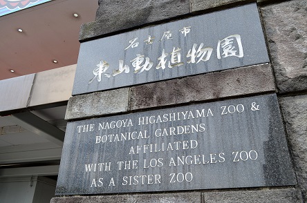 名古屋・東山動植物園の苦闘の繁殖記録 ~ ユキコ、そして二世代の「トロイカ体制」実らず_a0151913_4356100.jpg