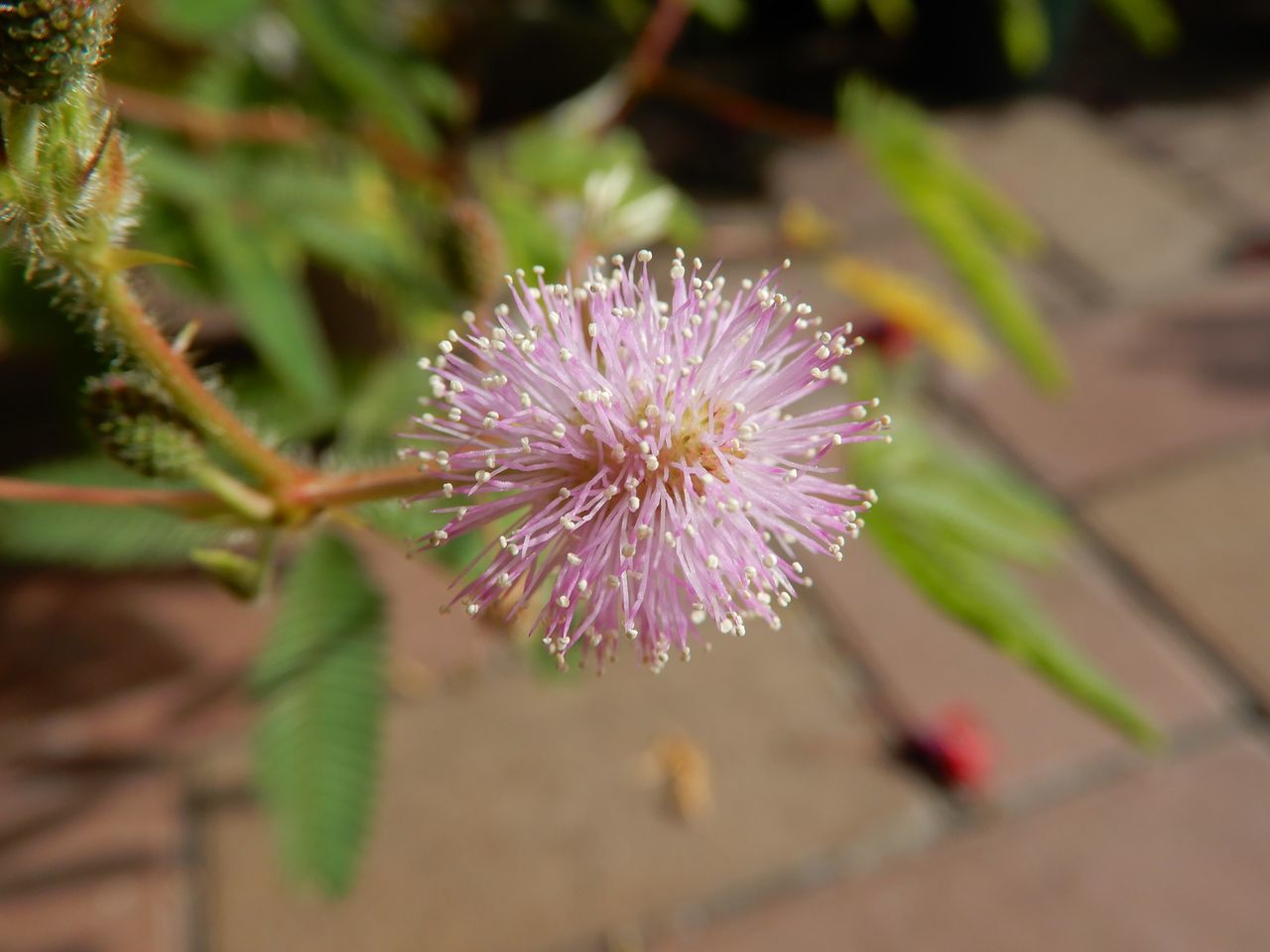 秋らしい秋分の日_c0025115_22103425.jpg
