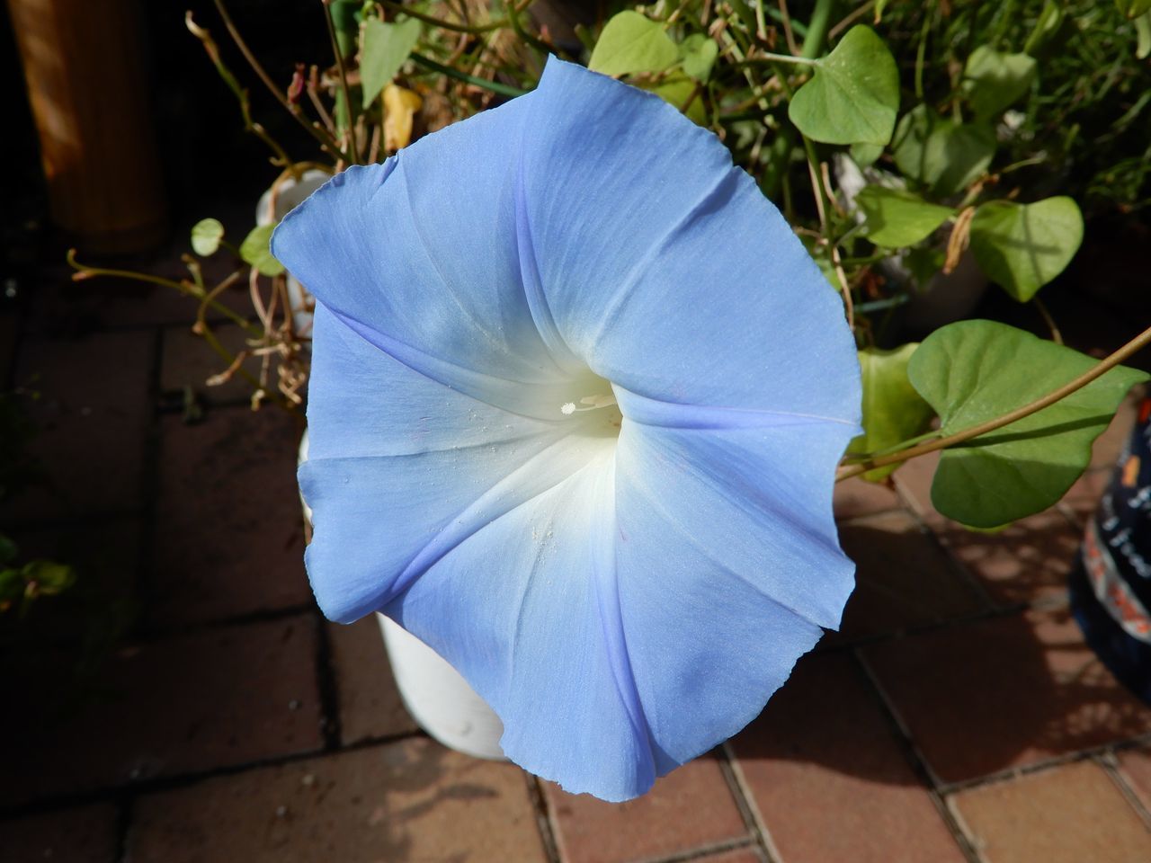秋らしい秋分の日_c0025115_22103774.jpg