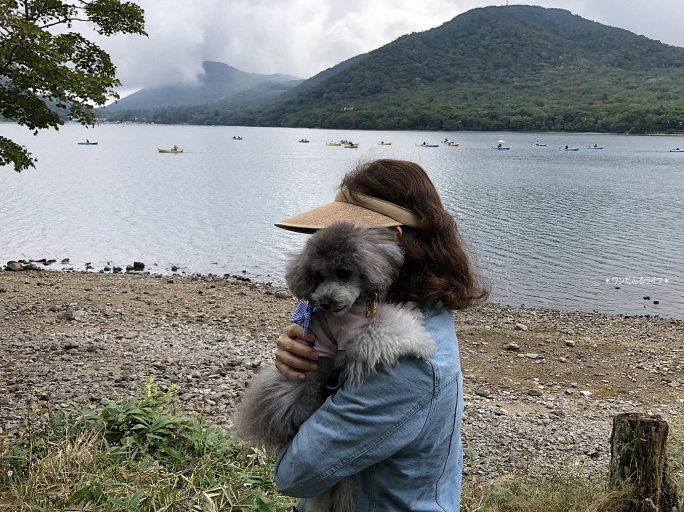 * フランと赤城山のカフェ *_d0317115_00230795.jpg
