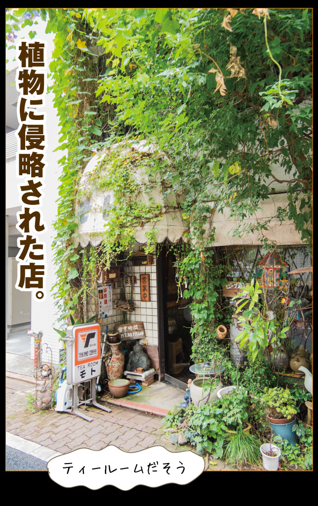 浜松町は旬穀旬菜カフェでランチ_a0358016_15304251.jpg