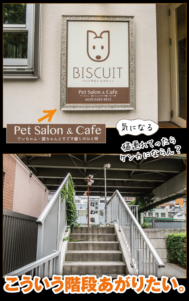 浜松町は旬穀旬菜カフェでランチ_a0358016_15314091.jpg