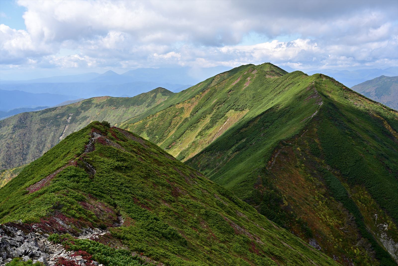 7年ぶりに美しき稜線へ！　ウペペサンケ山　2020.9.19_a0145819_12582150.jpg