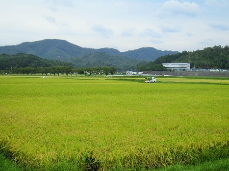 秋の京都の山へ_b0177436_23224868.jpg