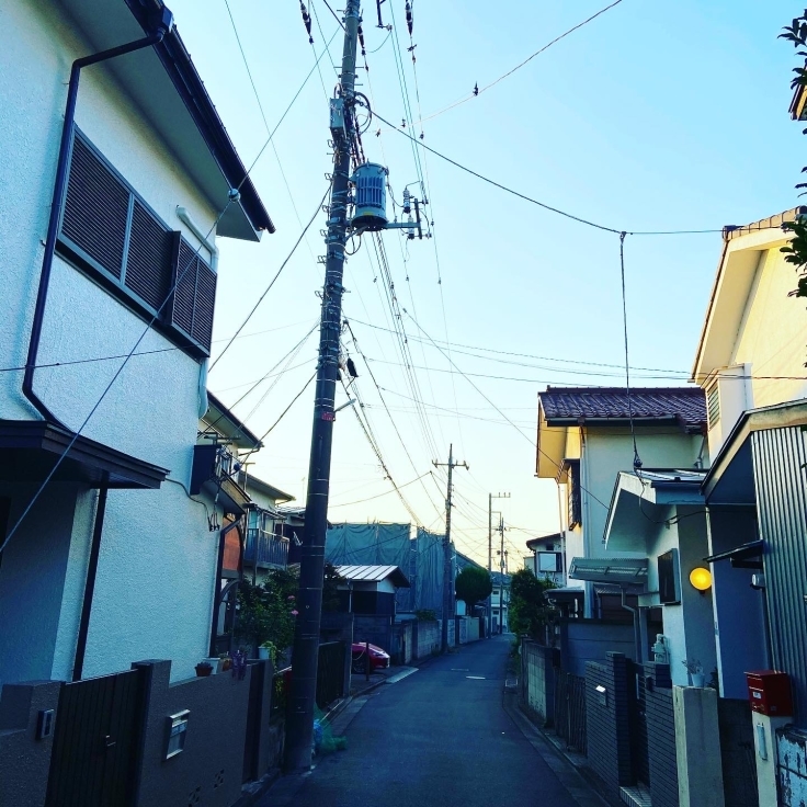 ラベンダーオイルとカスターオイルの最強コンビで軽い火傷をケア Ayakoishii Samasamaaroma