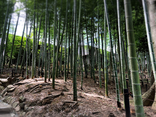 日本料理 滴翠(てきすい)_e0292546_18570416.jpg