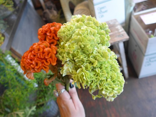 花修行~「鮨 波やし」さんの秋のお花~_f0232060_134731.jpg